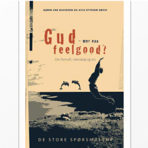 Gud – mer enn feelgood?